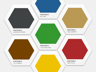 Settlers of Pantone board game concept hexagon pantone settlers of catan swatches thief