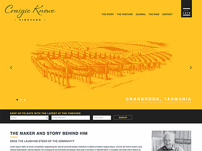 Craigie Knowe Vineyard design web