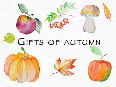 Beautiful illustration of the gifts of autumn apple autumn berry design fruits grafic illustration isolated mushroom sketch watercolor