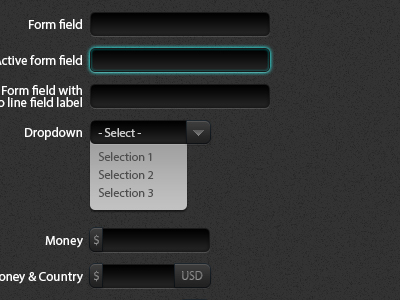 Form Elements Dark active field dark dropdown form field forms ui