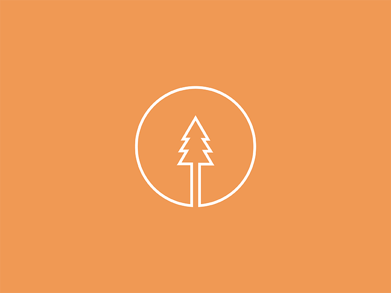Pine Mark bright clean colour identity logomark mark minimal simple vector
