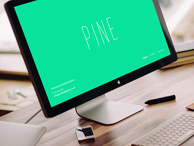 PINE Landing Page bright business clean flat homepage identity landing page ui ux web design website