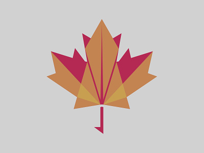 Maple Leaf brand branding color colour funeral identity leaf logo maple