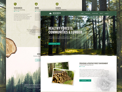 Wisconsin Forestry Council design forest green homepage trees ui web web design website wisconsin wood