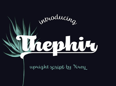 Thephir typeface font lettering script typeface