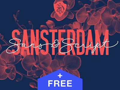 Sansterdam Font family font free grotesque sans serif typeface