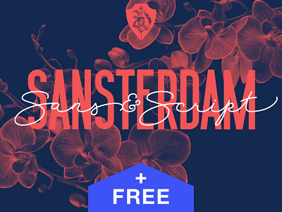 Sansterdam Font family