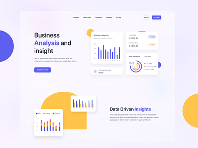 Business Analytics Landing Page