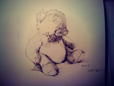 Brownie bear illustration pencil sketchbook teddy