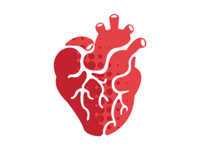 Follow your heart anatomy cardiac heart illustration