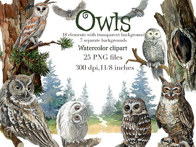 Owls in the forest watercolor clipart, trees, forest background branding design illustration logo