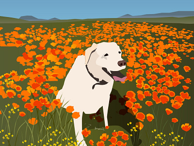 Poppies & Pups illustration travelillustration