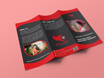 Tri-Fold Brochure branding design illustrator logo photography trifold