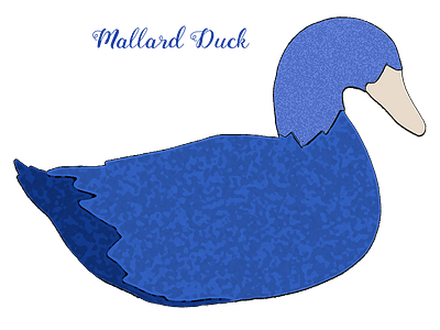 Mallard Duck blue mallard duck decoy mallard duck mallard duck