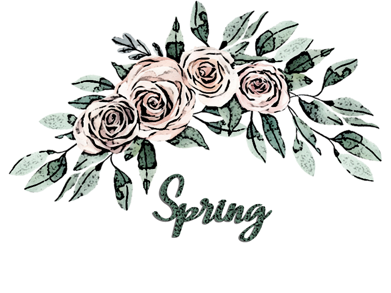 Spring spring manipulated image spring digital art image spring time manipulated image spring time digital art image rose manipulated image rose digital art image