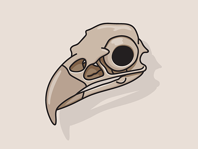 Eagle Skull eagle skull