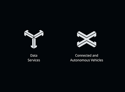 Logos for two company solutions: Data Services and CAVs design logo visual identity