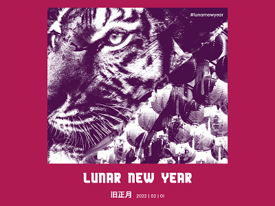 Lunar New Year design lunar lunar new year