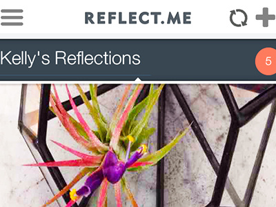 Reflect.me App Detail app capture design ios reflect ui ux