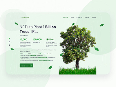 Mint Forest Landing page design landingpage webdesign webnemtechnology websitedesign