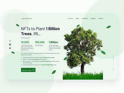 Mint Forest Landing page