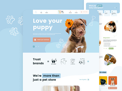 Website design for pet services design landingpage ui webdesign webnemtechnology websitedesign