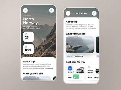 Car Rent App Trips UX UI app car color design electrocar interface ios landscape norway rent rental shadow tesla travel trip typography ui user experience user inteface ux