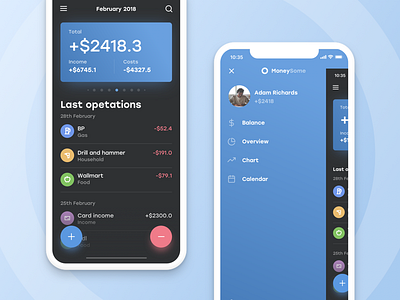 Moneysome #1 app app design minimal application blue color dashboard design finance money cash ios overview income costs ui ux