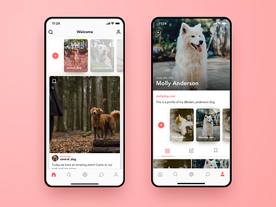 Instagram for Pets | iOS Concept account animal app cats design dogs feed gradient instagram interface ios mobile pets pink profile stories ui ux web web design