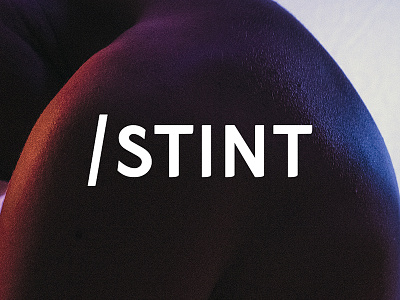 STINT Logo branding logo music musician producer rb