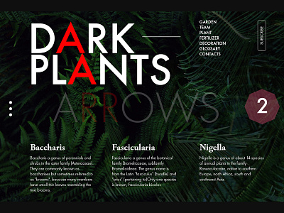 Dark Plants arrow art bark blog green photos plants travel ui ux