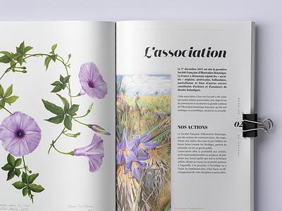 SFIB Press Release 2016 art direction association book botanic drawing edition illustration plants press release