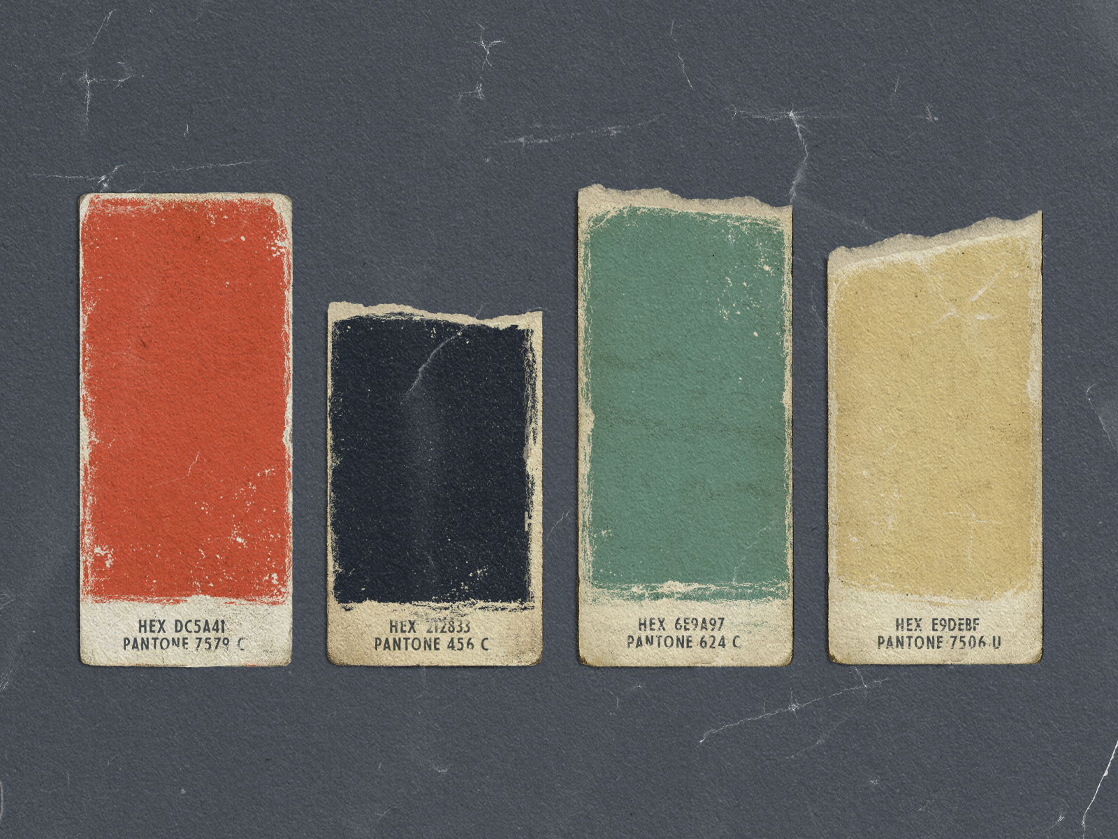 King of the Rodeo Colour Palette by King of the Rodeo on Dribbble