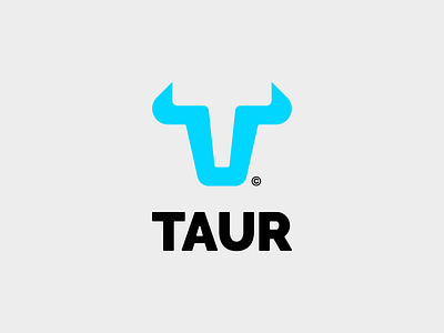 Taur Electric Scooters