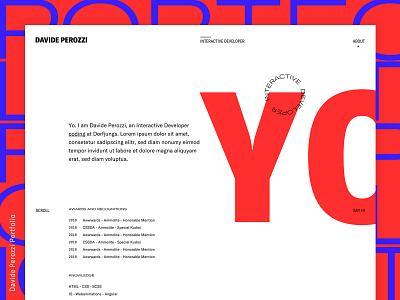 Developer Portfolio - About Page developer grid layout portfolio portfolio design typography webdesign