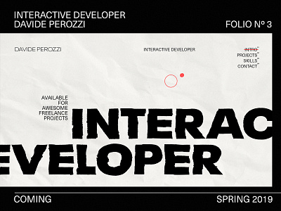 Developer Portfolio - V3 design distortion grid layout portfolio typography