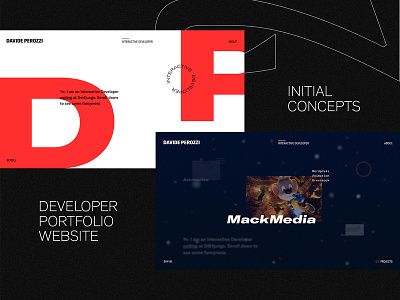 Developer Portfolio - Behance Case Study