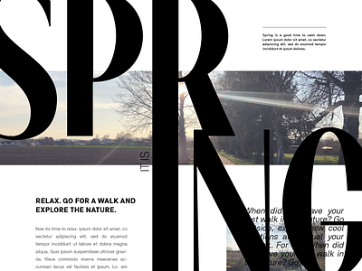 Layout and typography exploration