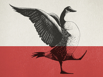 Giddy Goose goose hand drawn happy illustration vintage