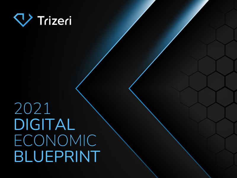 Trizeri Digital Economic Blueprint 2021 by Evgeniy Zhukovets on Dribbble