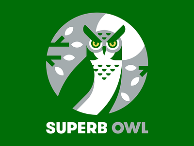 Superb Owl bird eagles football owl superbowl