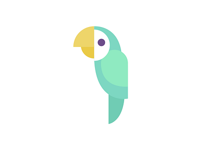 Bird bird parakeet parrot