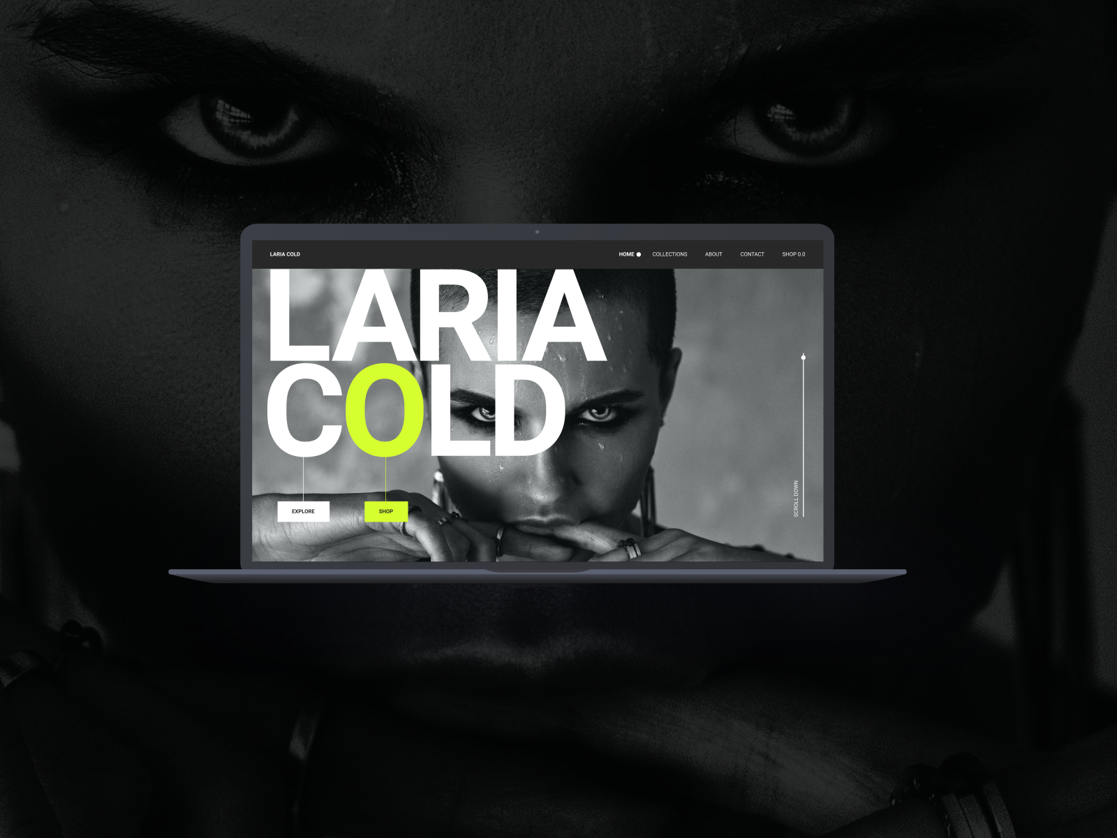 Laria Cold by Hygge Design Agency on Dribbble