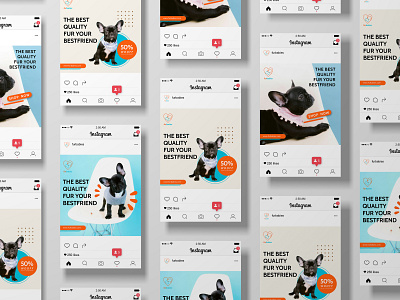 Social Media Design for Furbabies branding design graphic design illustration instagram marketing mock up social media ads social media design typography vector