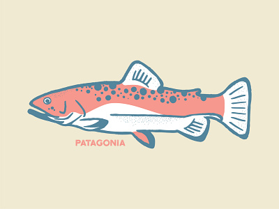 Patagonia Fish color design fish fish illustration fishing fly fishing hand drawn illustration patagonia texture