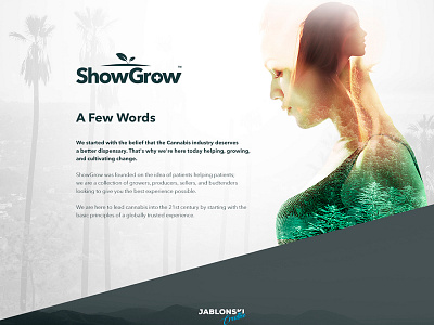 ShowGrow - Brand Refresh branding graphic design web design