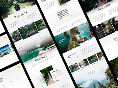 Travelers by National Geographic [Full site] discover figma full site interface landing national geographic product design sketch tourism travel travel agency travelers ui