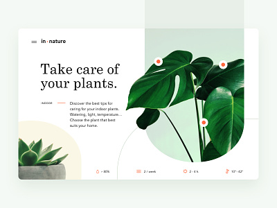 Plant care web concept