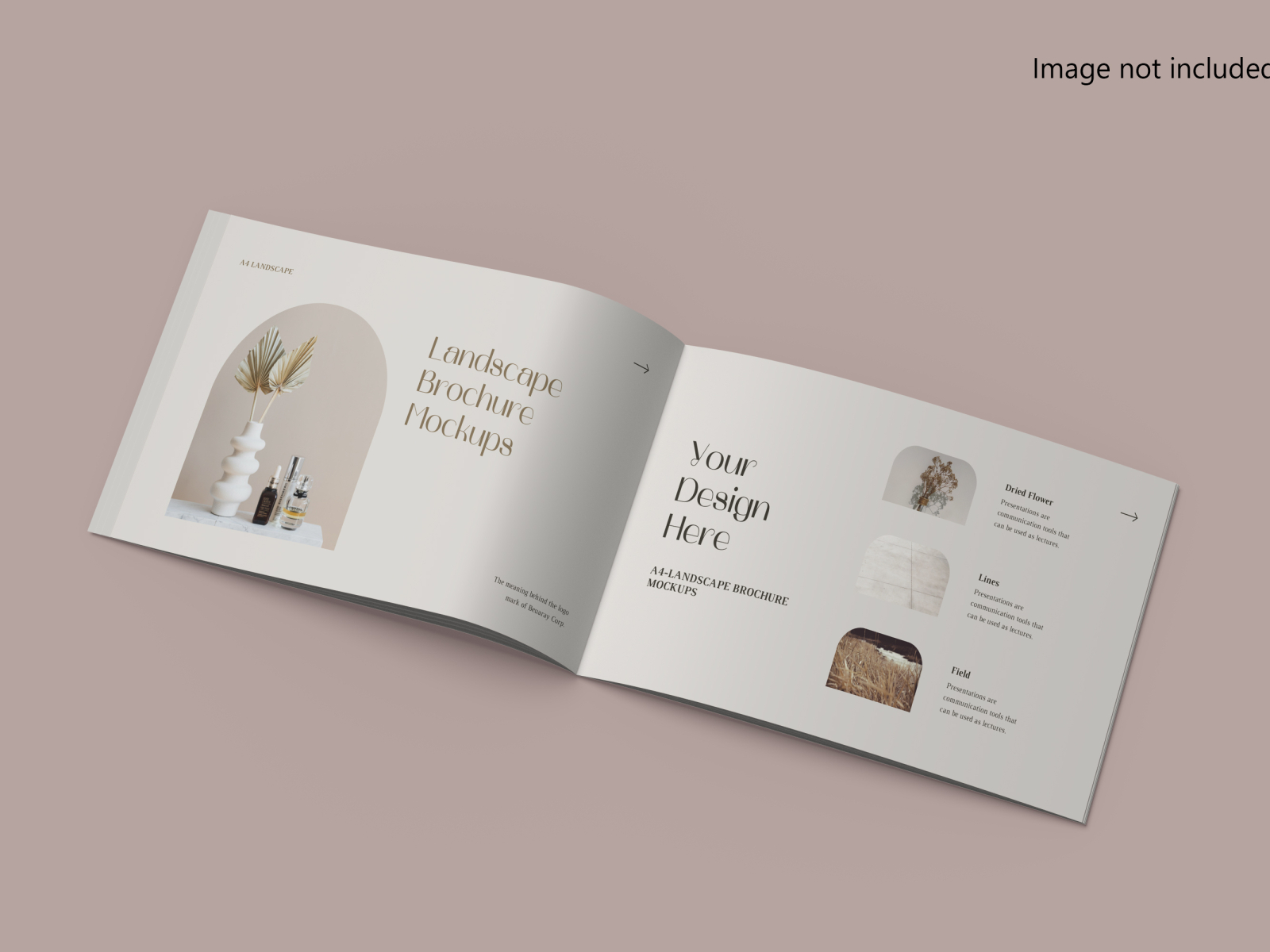 A4 Landscape brochure mockups/psd by MoGraphic on Dribbble