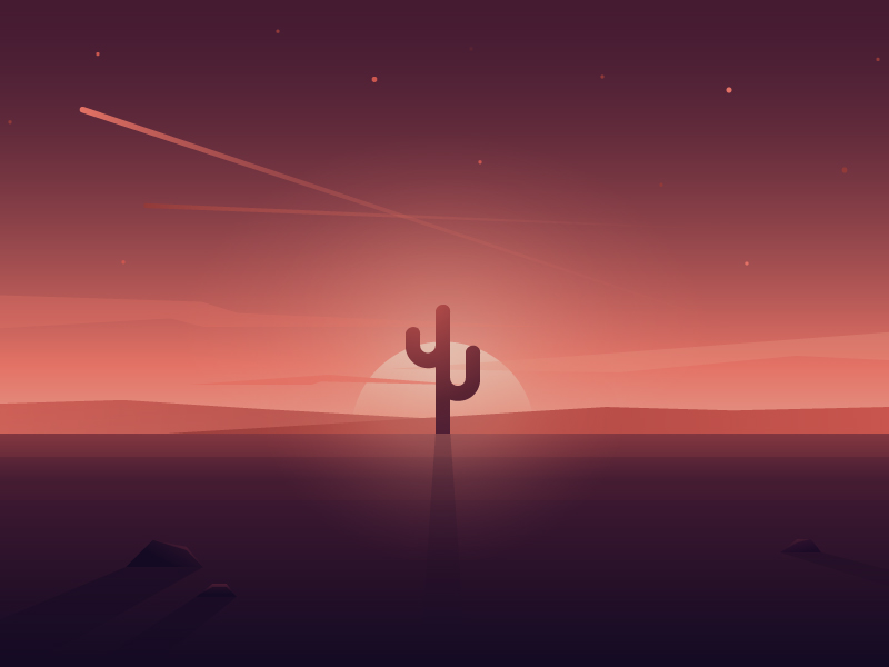 Cactus by Julia on Dribbble